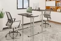 Digitus DA-90432 frame voor stabureau Electrisch 2 poot/poten Grijs - thumbnail