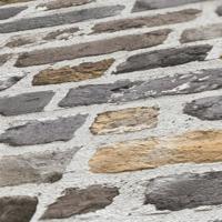 AS Creation THE BoS - Grijs - 388292 - thumbnail