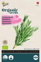 Zaden Organic Rozemarijn (BIO) Buzzy - Buzzy - thumbnail