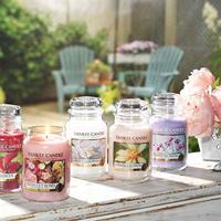 Yankee Candle 1038367E kaars Rond Roze 1 stuk(s) - thumbnail