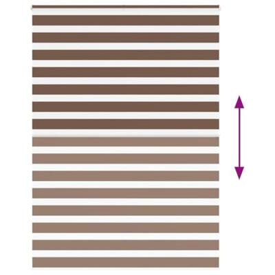 VidaXL Zebra rolgordijn 165x200 cm stofbreedte 160,9cm polyester bruin