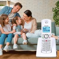 Draadloze telefoon Alcatel F530SG Grijs Wit/Grijs - thumbnail