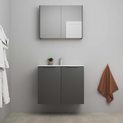 On-Line Badkamermeubelset - 80 cm - Voorgemonteerd - 2 Deuren met Greep - Porseleinen Wastafel - 1 Kraangat - Spiegelkast - Mat Antraciet