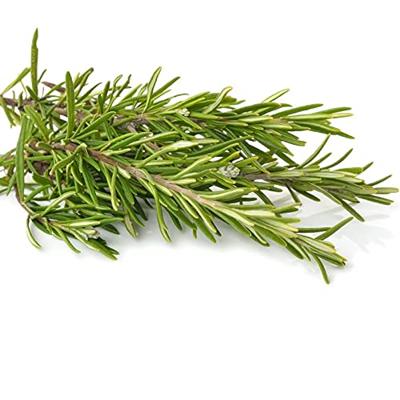 Rozemarijn zaden Rosmarinus Officinalis