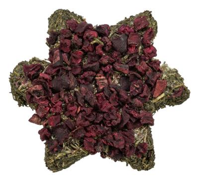 TRIXIE XMAS STER MET PASTINAAK / RODE BIET MET PETERSELIE