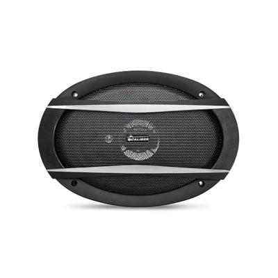 Auto Speaker - Ovale 6X9 met Rooster 150 Watt (CDS69G)
