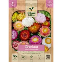 Strobloem zwitserse reuzen mengsel 100st - thumbnail