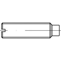 TOOLCRAFT TO-5435028 Draadpen M5 20 mm 100 stuk(s) - thumbnail