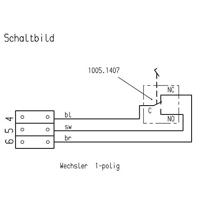 Marquardt 2410.0401 Voetschakelaar 250 V/AC 6 A 1 pedaal 1x wisselcontact 1 stuk(s) - thumbnail