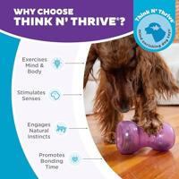 Outward Hound Double Snoop Paars - thumbnail