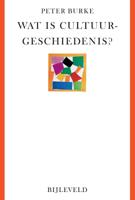 Wat is cultuurgeschiedenis? (Paperback) - thumbnail