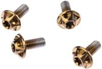 SILCA bevestigingsbout screw bourbon 4pcs. - thumbnail