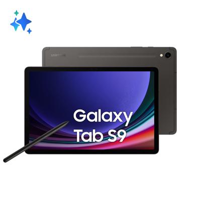 Tablet Samsung Tab S9 5G SM-X716 1" 11" 8 GB RAM 128 GB Staal