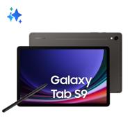 Tablet Samsung Tab S9 5G SM-X716 1" 11" 8 GB RAM 128 GB Staal - thumbnail