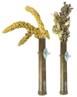 BACK ZOO NATURE GRASS KEEPER - thumbnail