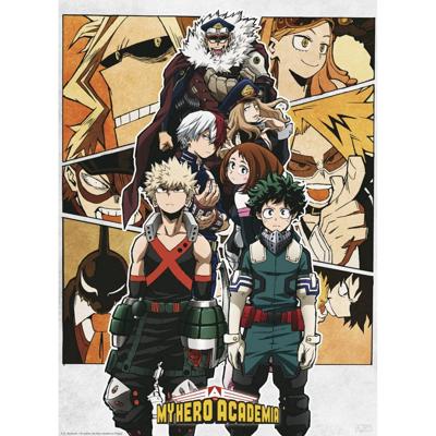 Poster My Hero Academia - Group 38x52cm