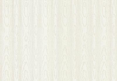 Dutch FC New Tekko schors wit - 20034