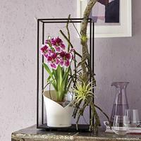 LECHUZA Plantenbak ORCHIDEA ALL-IN-ONE Mat wit - thumbnail