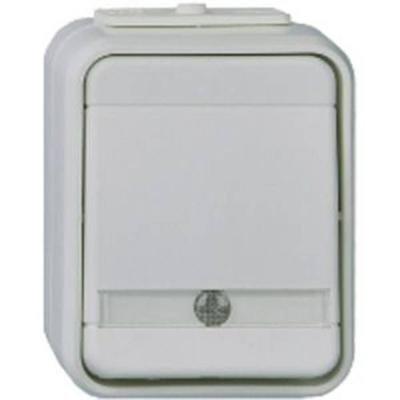 ELSO controlewisselschakelaar 441649 10A AquaTop licht/basisgrijs Meerdere kleuren 1 stuk(s)