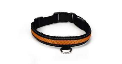 Beeztees Safety Gear Ruflo - Halsband Hond - Incl. Usb - L