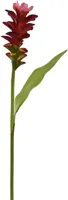 Pure Royal kunsttak gemberlelie 75cm rood - thumbnail