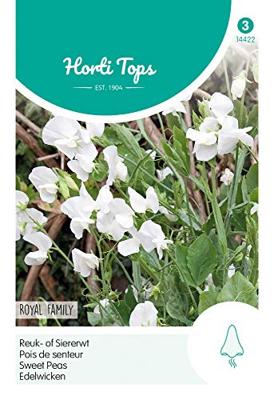 Zaden Lathyrus Reuk- of Siererwt Royal Family Wit Hortitops - Hortitops