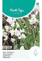 Zaden Lathyrus Reuk- of Siererwt Royal Family Wit Hortitops - Hortitops - thumbnail