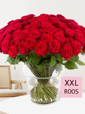100 rode rozen - Red Naomi 100 rode rozen - Red Naomi