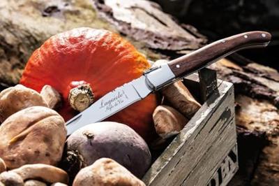 Laguiole Style de Vie Zakmes Rozenhout