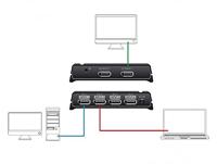 DeLOCK DisplayPort Switch 2x 2 Displayport in naar 1x 2 DisplayPort out - thumbnail
