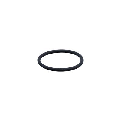 ifm Electronic E30123 O-ring E30123 1 stuk(s)