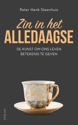 Zin in het alledaagse (Paperback)