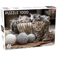 Tactic Puzzel Animals: Kittens puzzel 1000 stukjes - thumbnail