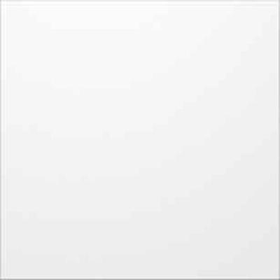 Ritto by Schneider 1876620 Accessoires voor deurintercom Zilver