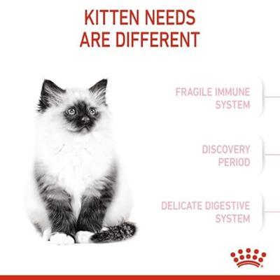 ROYAL CANIN Kitten FHN - droog kattenvoer - 400g