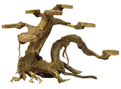 Superfish Bonsai Planter Small - Realistisch Handgemodelleerd Aquarium Decoratie voor Kleine Tanks