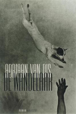 De wandelaar