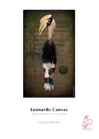 HM10641676 - thumbnail