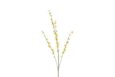 Decostar Cytisus 108 cm oranje