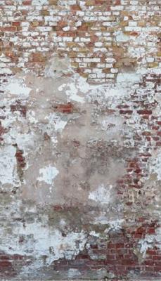 Livingwalls The Wall II - Beige - Steenlook - 392501