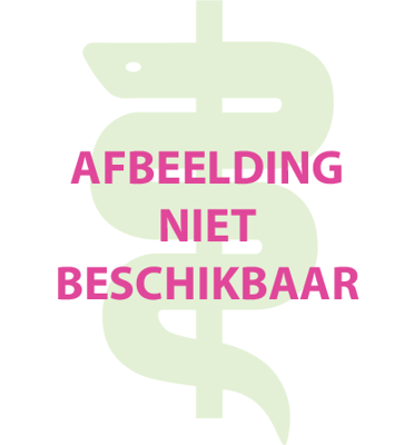 Jacob Hooy Kaneel Cassia Gemalen