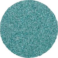 PFERD TOOLS CDR 38 Z 60 42773406 Schuurblad Korrelgrootte (num) 60 (Ø) 38 mm 100 stuk(s) - thumbnail