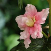 Delphinium Kunstbloem 94cm Roze - thumbnail