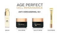 L’Oréal Paris Skin Expert Age Perfect Cell Renaissance 50ML nachtcrème Anti-veroudering - thumbnail