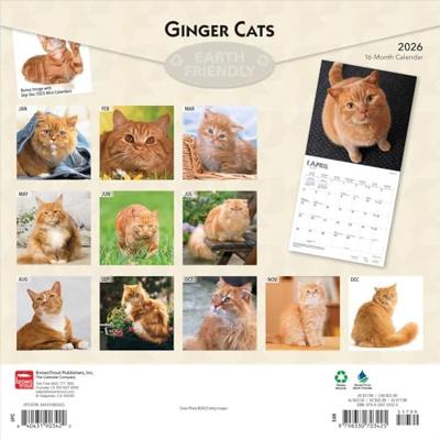 Rode Katten Kalender 2026