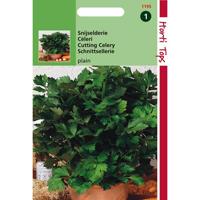 Zaden Selderij Hortitops - Hortitops - thumbnail