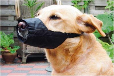 BZ VEILIGHEIDSMUILBAND M 14 BZ VEILIGHEIDSMUILBAND M 14