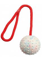 Hondenspeelgoed Trixie Natuurlijk rubber Ø 7 × 30 CM - thumbnail