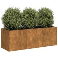 Plantenbak roestig 120x40x40 cm weervast staal - thumbnail