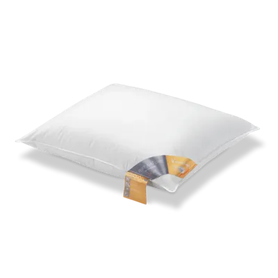 Vandyck hoofdkussen 65% Ganzen Dons zacht